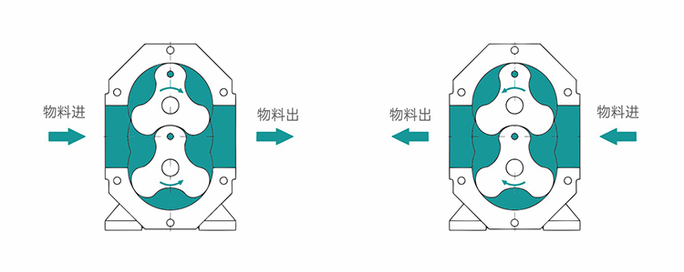 凸輪轉(zhuǎn)子泵試車注意事項