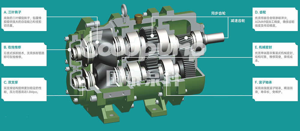 國泰轉子泵工作原理